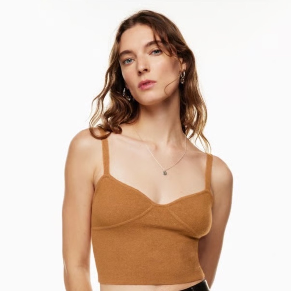 Wilfred Rust Knit Top